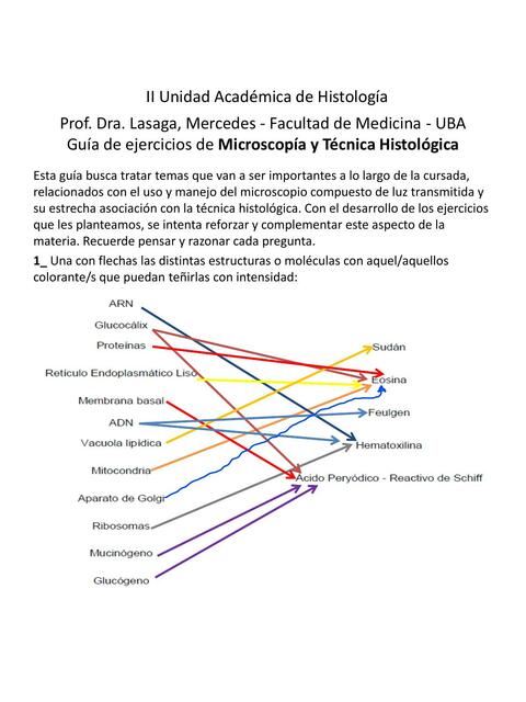 Compilado guías resueltas Histología Dani Mirohr uDocz