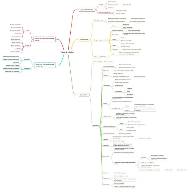 Mapa Conceptual de Tipos de células Studyaddictss uDocz