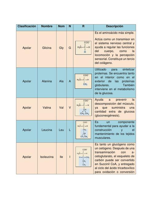 Aminoácidos y Proteínas Susy Gómez uDocz