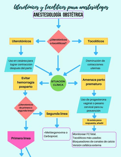 Uterot Nicos Y Tocol Ticos Farmacolog A Y Anestesiolog A Danmedi Udocz