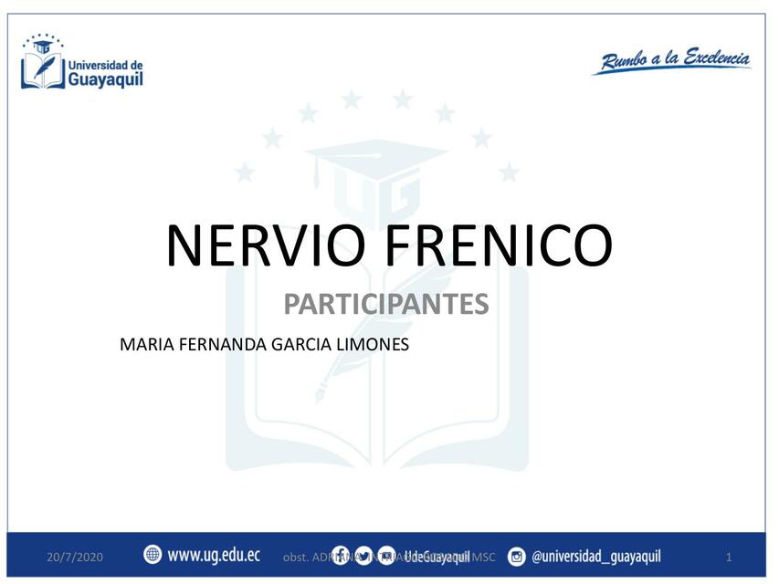 Resúmenes de Nervio frénico Descarga apuntes de Nervio frénico