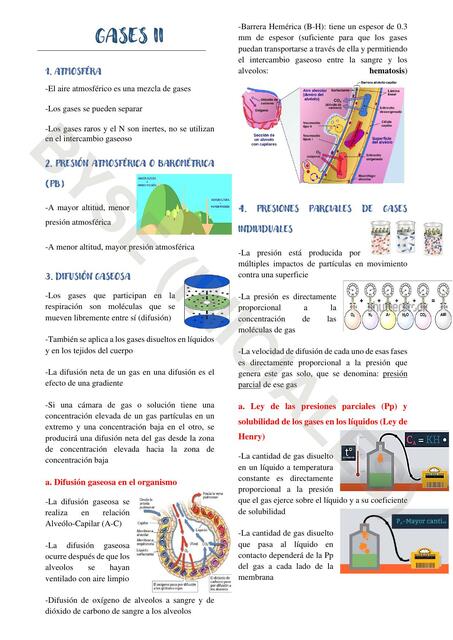 Física Médica de los Gases parte 2 Briggitte Yamilé Suarez Esteban