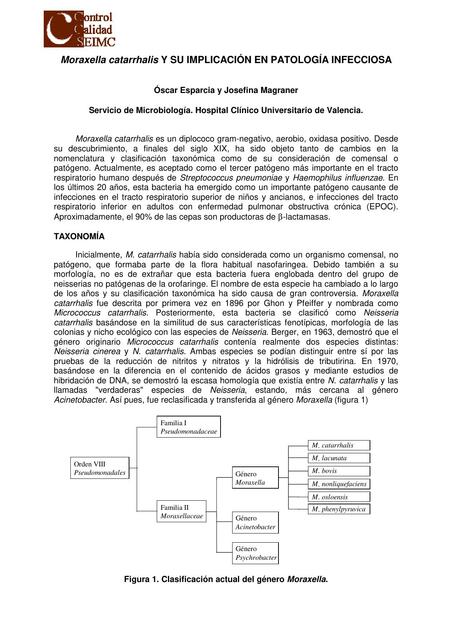 Moraxella Catarrhalis Y Su Implicaci N En Patolog A Infecciosa Carla