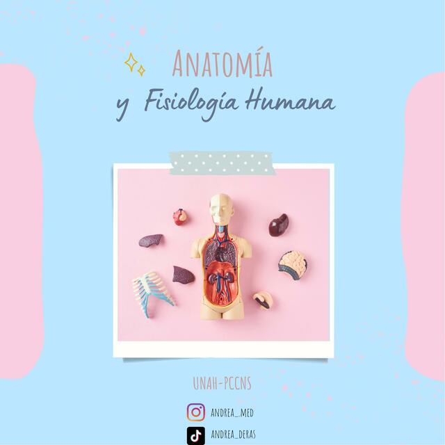 Anatomía y fisiología Humana PCCNS Andrea Deras uDocz