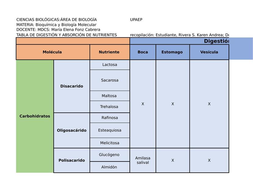 Tabla Integracion De Metabolismo De Lipidos The Best Porn Website