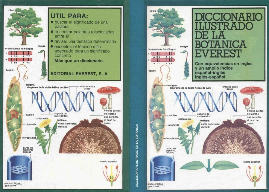 Diccionario Ilustrado De Nica Carlos Poma C Ceres Udocz