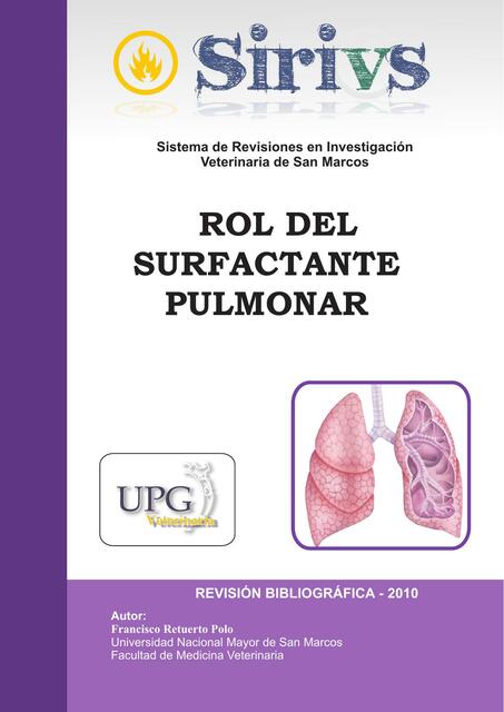 Rol Del Surfactante Pulmonar The Best Porn Website