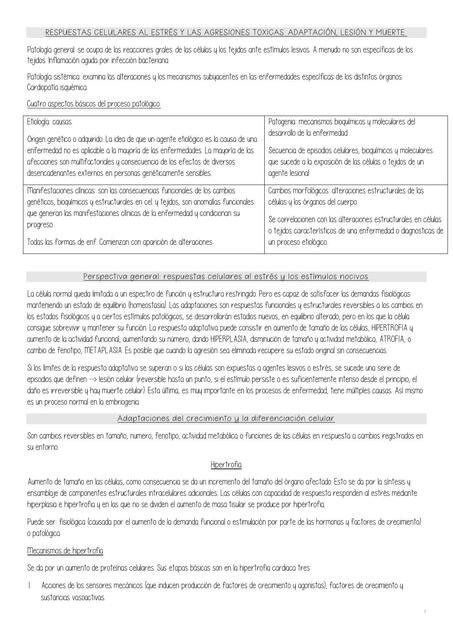 Respuestas celulares al estrés y a las agresiones tóxicas uDocz