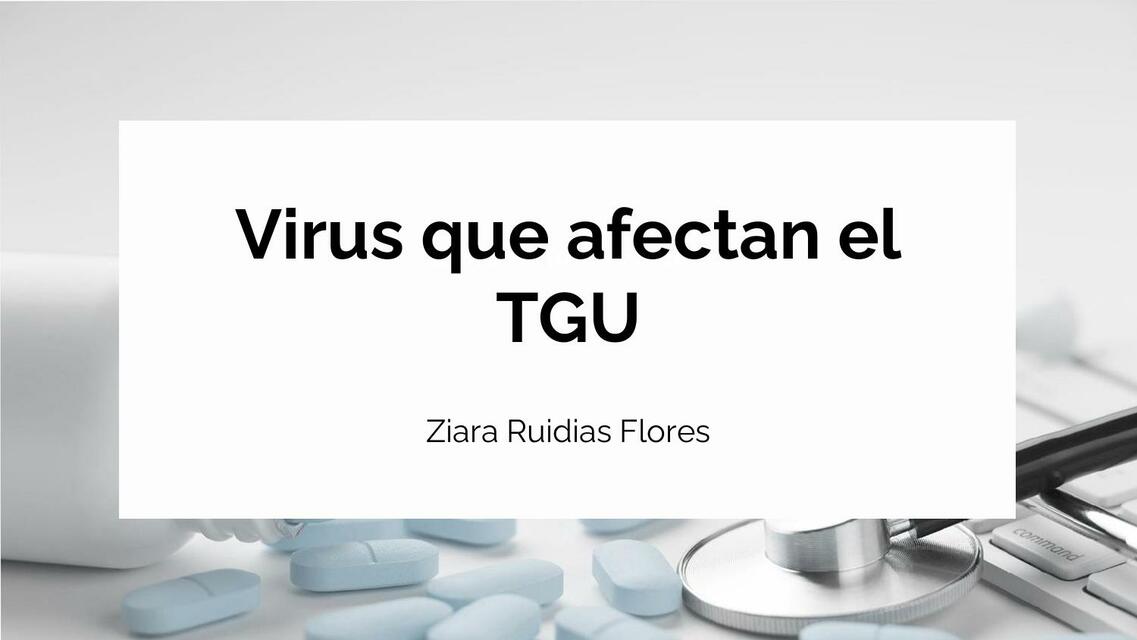 Virus Y Hongos Que Afectan El Tgu Ziara Alejandra Ruidias Flores Udocz