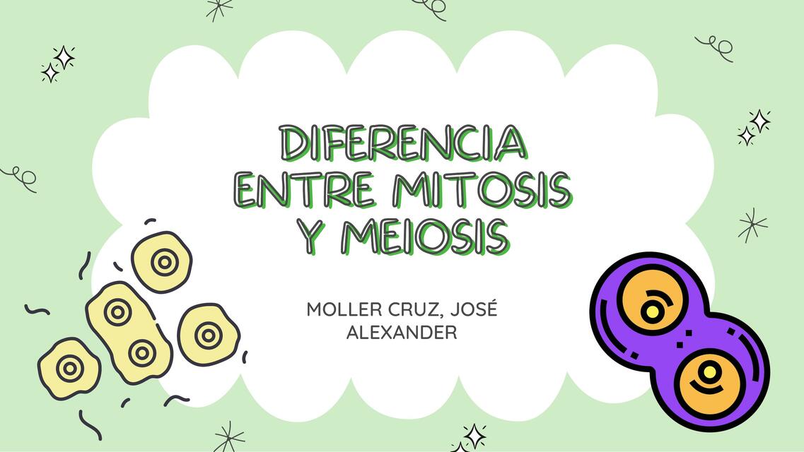 Diferencia Entre Mitosis Y Meiosis Alexander Moller Udocz