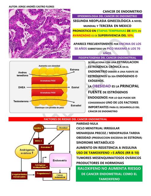 Cáncer de Endometrio jose gil rivas luna uDocz