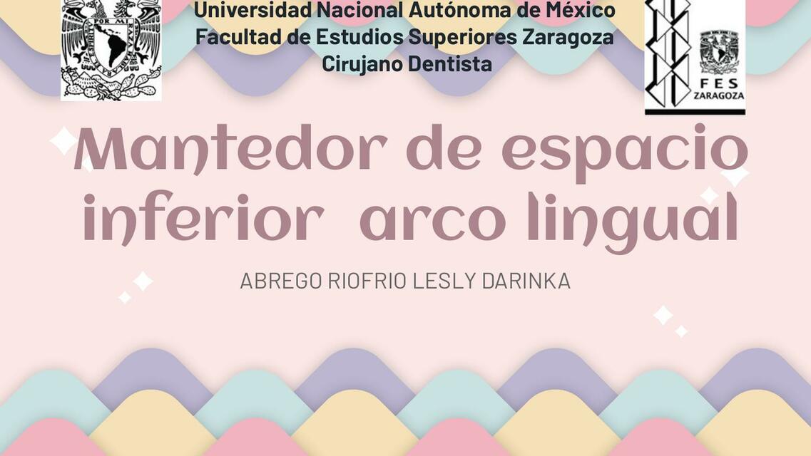 Mantedor De Espacio Inferior Arco Lingual Lesly Darinka Abrego