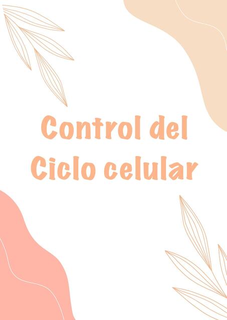 Control Del Ciclo Celular Samantha Shernandez Udocz