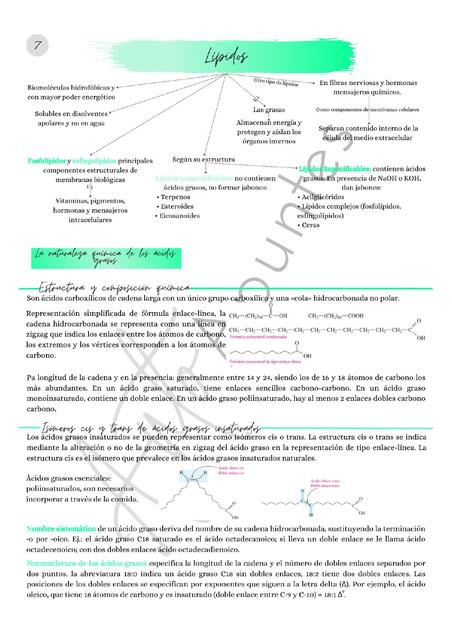 Lípidos Anto apuntes uDocz