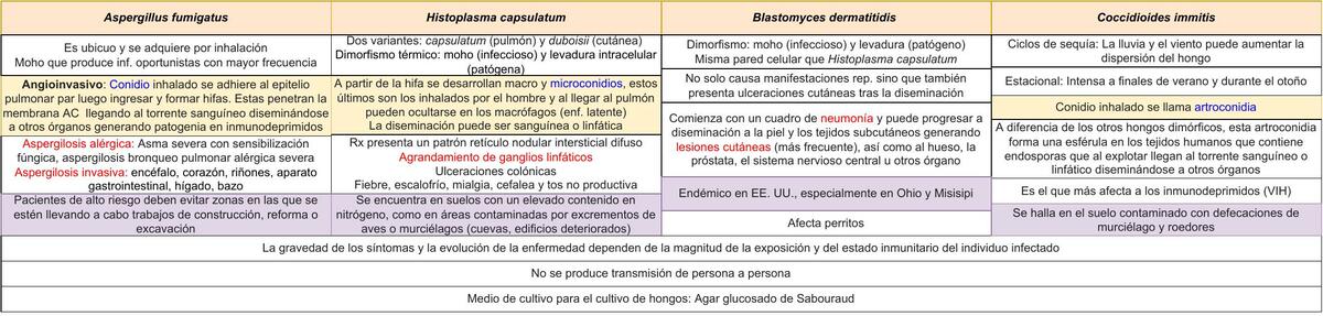 Hongos Sistema Respiratorio Ziara Alejandra Ruidias Flores Udocz