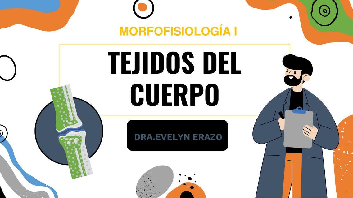 Tejidos Del Cuerpo Dra Evelyn Erazo Udocz