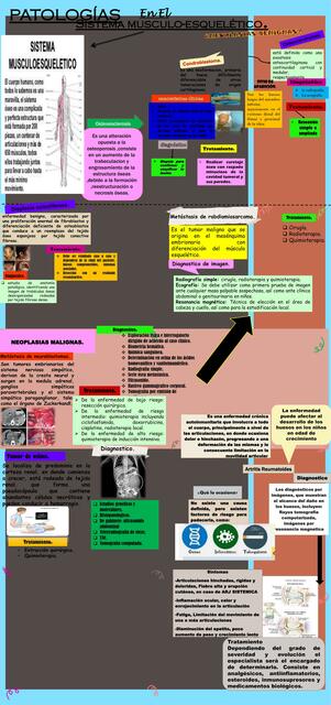 Sistema Musculo Esquelético JESUS ENRIQUE HERNANDEZ MEDINA uDocz