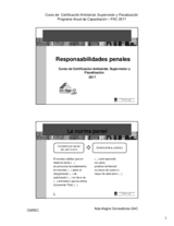 10 Responsabilidades Penales Zilmer Ahmed Muñoz Villalobos uDocz