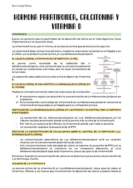 Hormona Paratiroidea Calcitocina Y Vitamina D Samira Cuayla Mamani