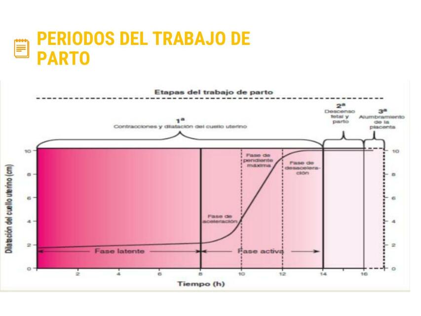 Periodos Del Trabajo De Parto Rojas Puma Rubela Maria Udocz