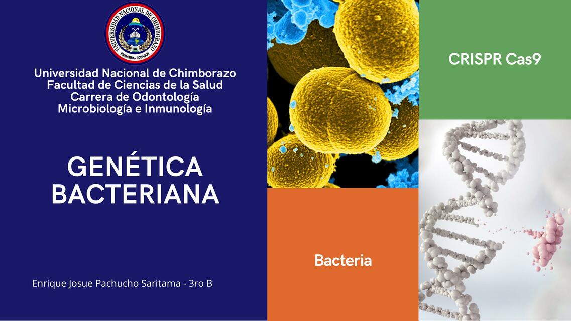 Gen Tica Bacteriana Estudia Odonto Udocz