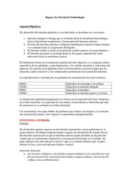 Repaso 3er Parcial de Embriología Alondra Nunez uDocz