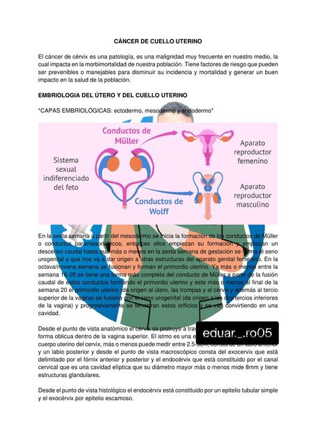 C Ncer De Cuello Uterino Lasaludseprotege Udocz