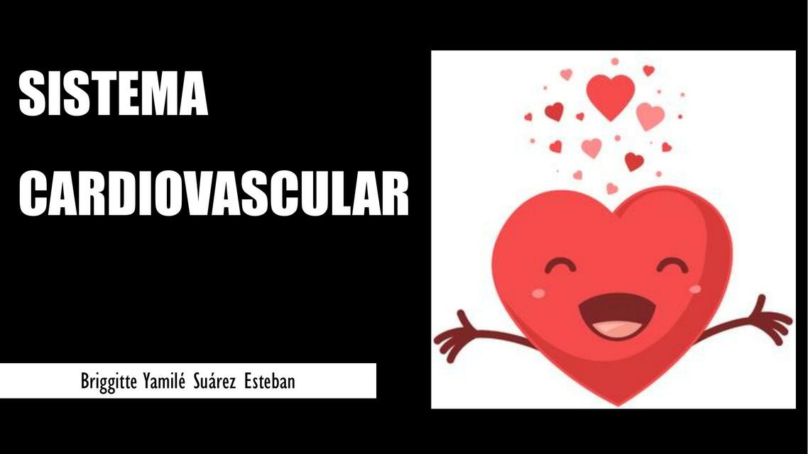 Histolog A Del Sistema Cardiovascular Briggitte Yamil Suarez Esteban