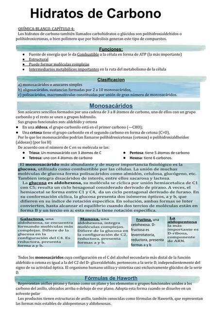 Hidratos De Carbono Estudiando En La Uner Udocz