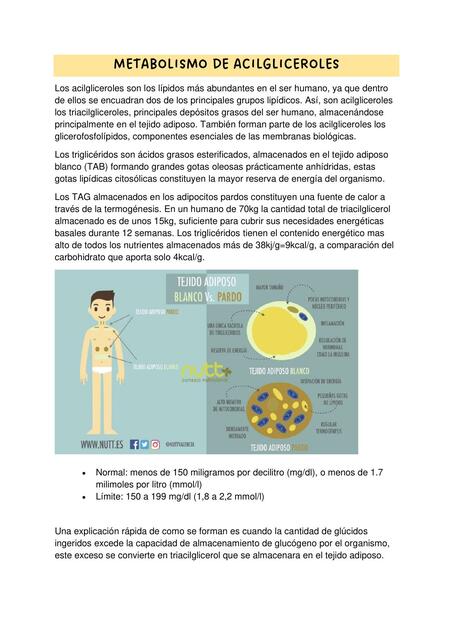 Res Menes De Acilgliceroles Descarga Apuntes De Acilgliceroles