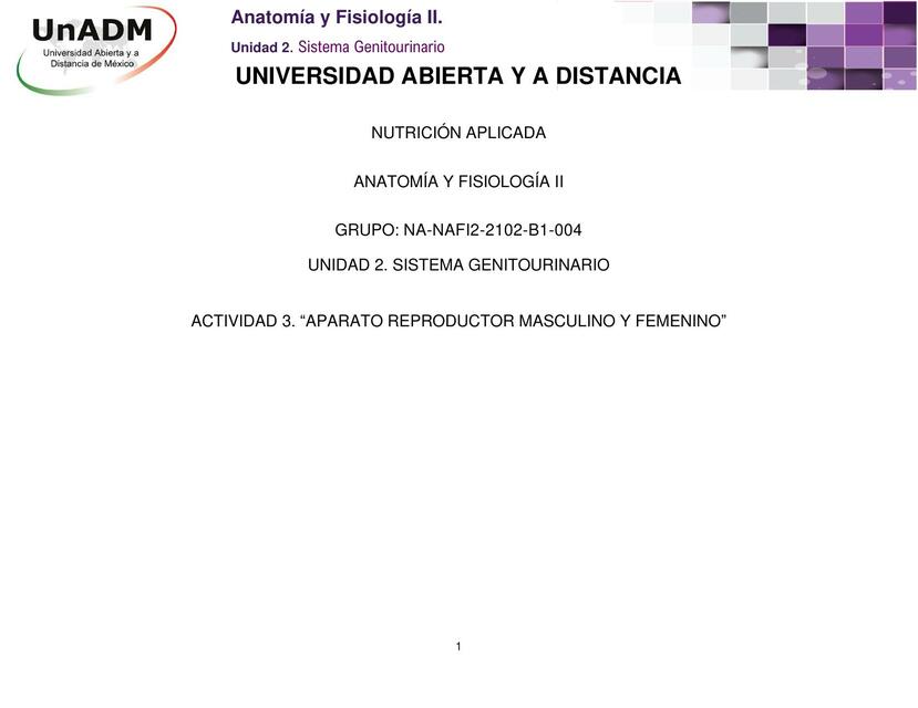 Aparato Reproductor Masculino Y Femenino FitMed UDocz