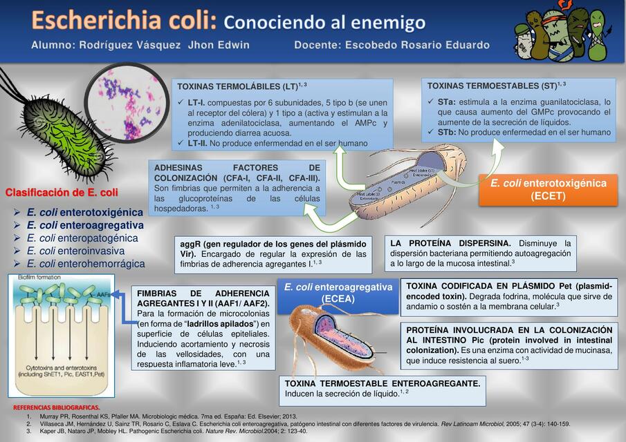 Escherichia Coli Jhon Rodriguez Udocz