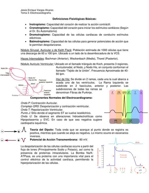 Electrocardiograf A Jes S Enrique Vargas Alvarez Udocz