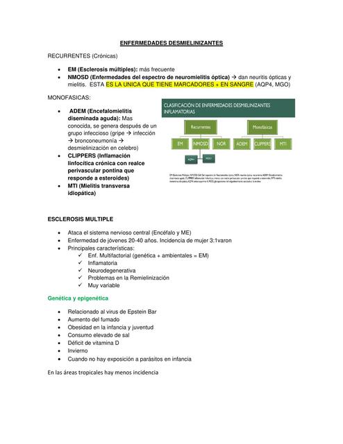 Enfermedades Desmielinizantes Johanna Camarena UDocz