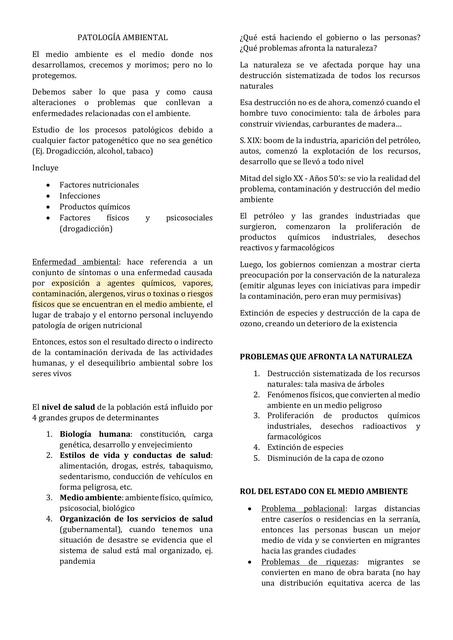 Patología Ambiental Ana María Ulloa Cavero uDocz