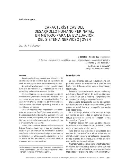 Etapas Del Desarrollo Embrionario Del Sistema Nervioso Pdmrea