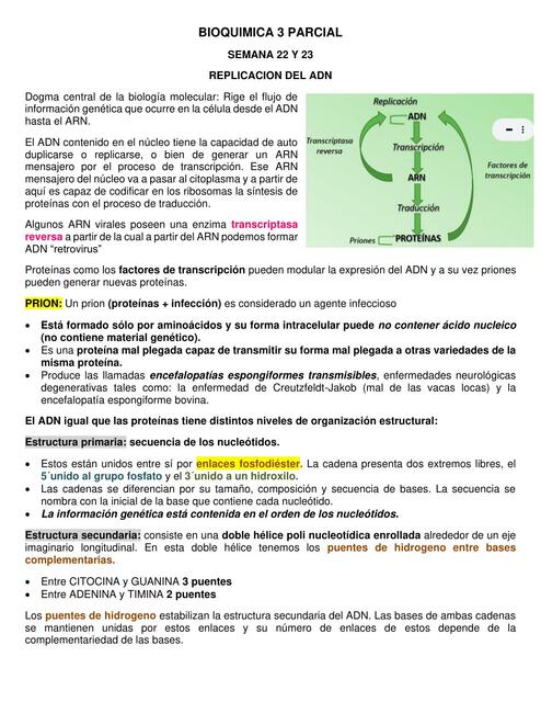 Bioquímica 3 parcial uDocz