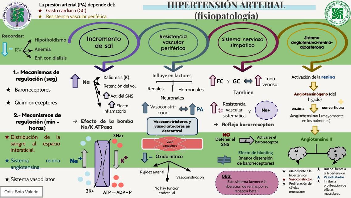 Hipertensión Arterial Valeria Soto uDocz