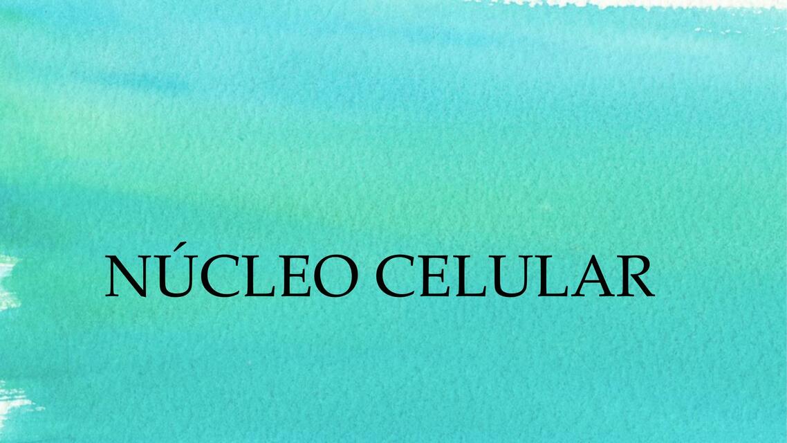 NÚCLEO CELULAR Didáctico Histología de ROSS Maleny Rosillo uDocz