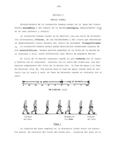 Mecanismo De La Marcha Edwin Oswaldo Aguilar Platero UDocz