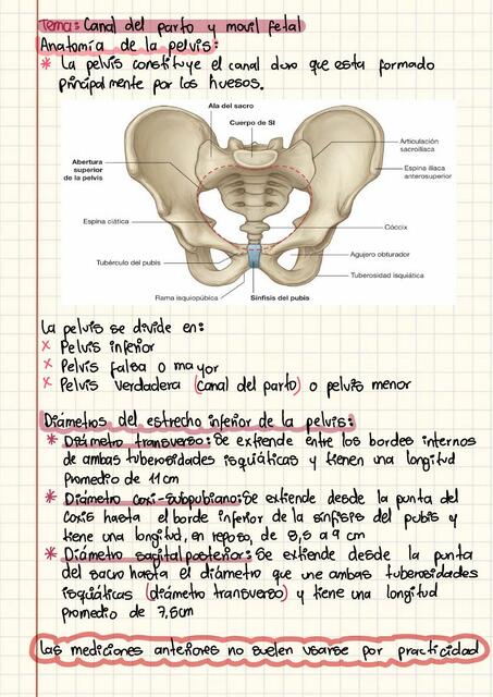 Canal Del Parto Y M Vil Fetal Valentina Lopez Udocz