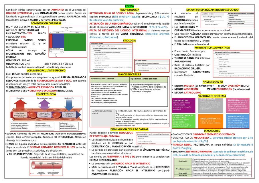 EDEMA Valery2 Arosquipa2 UDocz