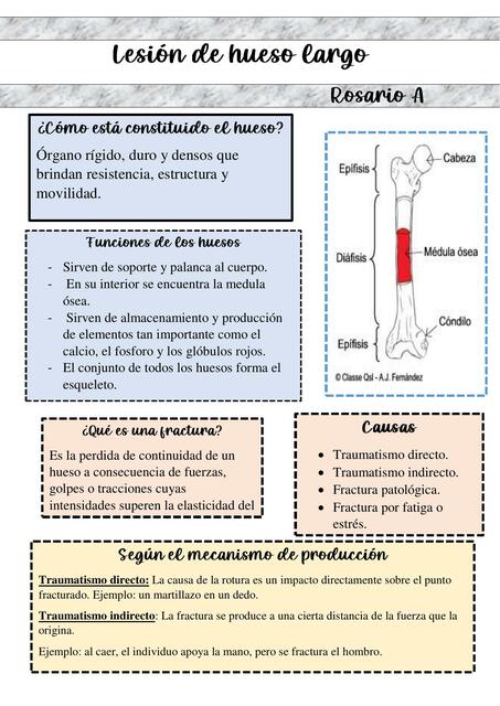 Resúmenes de Hueso largo Descarga apuntes de Hueso largo