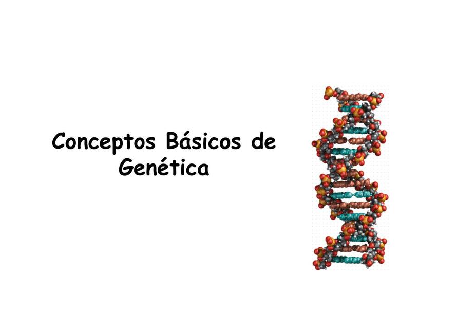 Conceptos Básicos de Genética OSCAR GANDARILLAS GONZALES uDocz