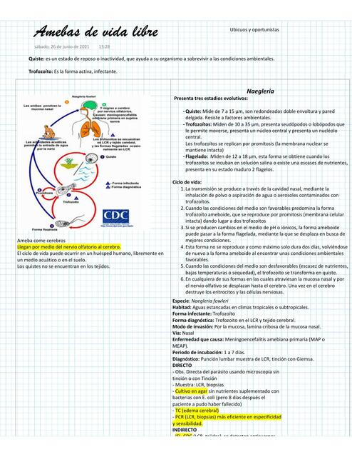 Amebas De Vida Libre Brandon Gf UDocz