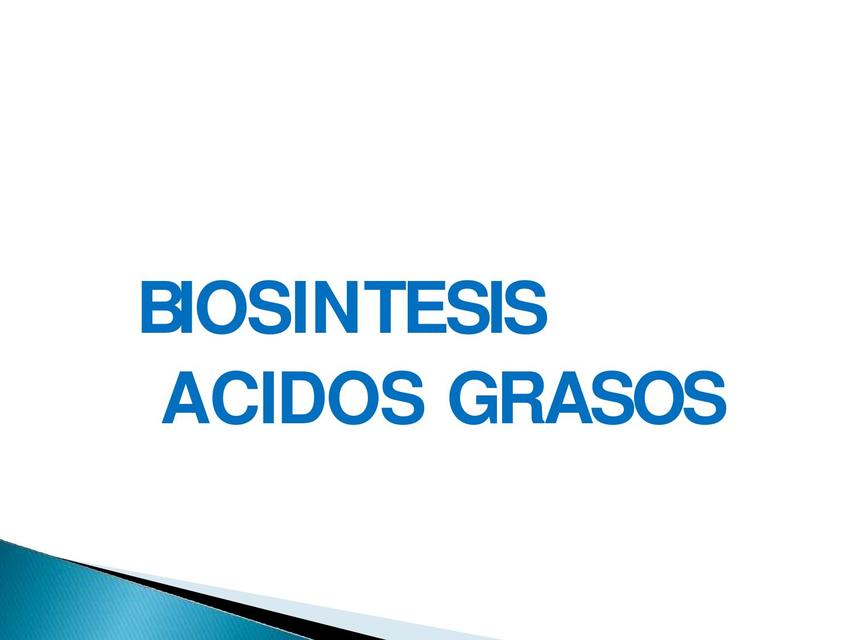 Biosintesis De Acidos Grasos Hot Sex Picture