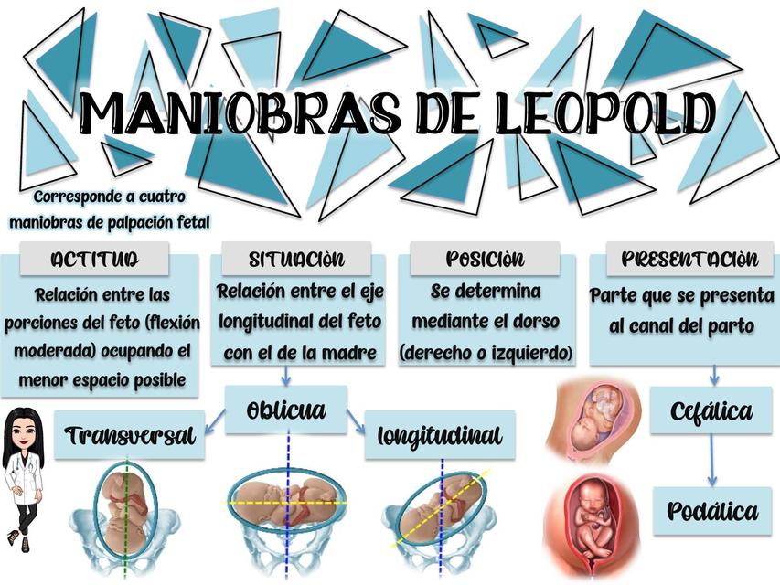 MANIOBRAS DE LEOPOL GREAT MED Mireya Gonzaga UDocz