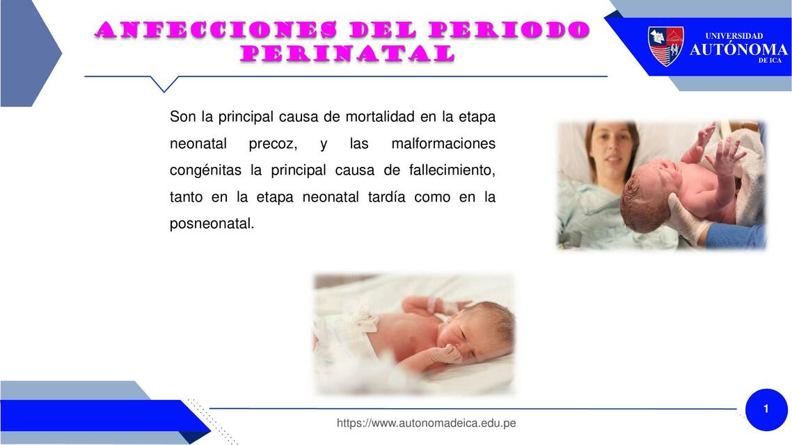 Afecciones Del Periodo Perinatal Will Alegria Udocz