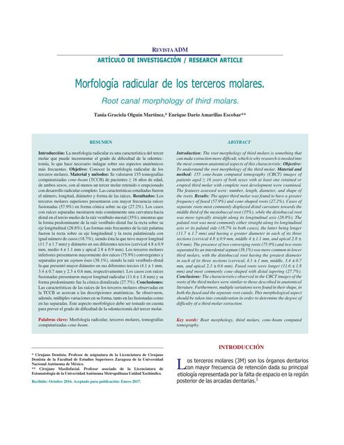 Morfología Radicular de los Terceros Molares Dentistas del mundo uDocz