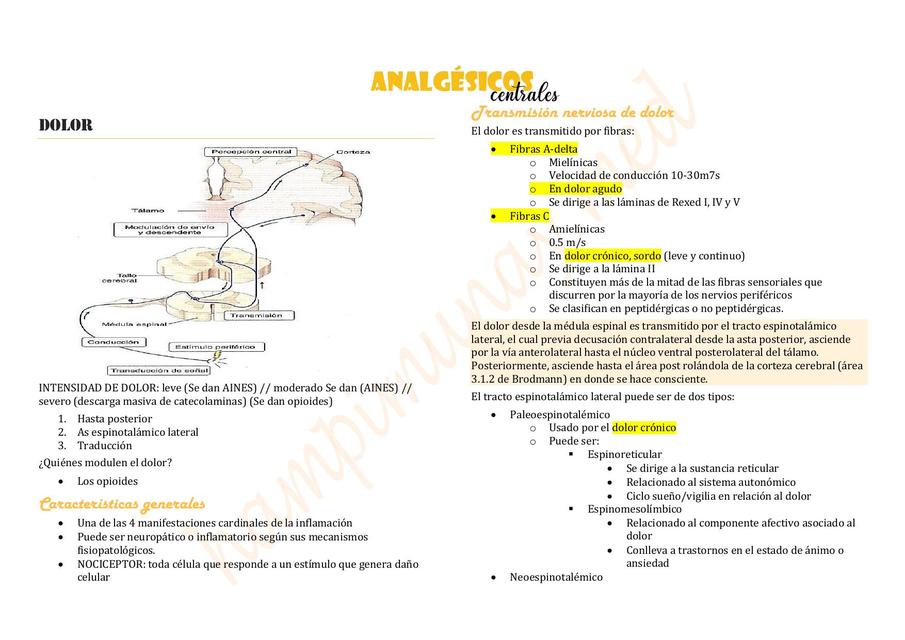 Analgésicos centrales Hampi Munay uDocz